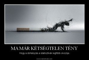 1318854299-Ves_Fz